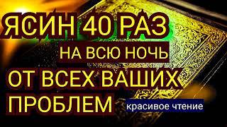 Сура Ясин 40 раз, От всех ваших проблем, от джинов, порчи и сглаза, врагов и злых людей Surah Yaseen