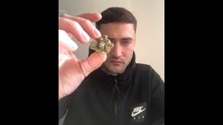 Tyson 2.0 TM T28 Tiger Milk Medical Cannabis Flower