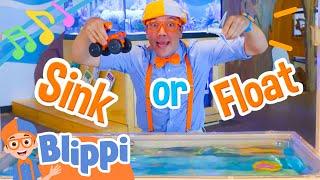 Blippi's Sink or Float Song | BRAND NEW Blippi Educational Science Song