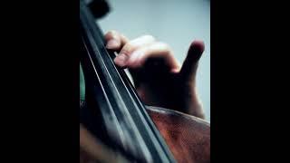 Cossman Cello Exercises | #the1000dayjourney