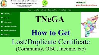 How to get TNeGA Missing or Duplicate Certificate online