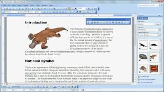 Graphics Basics in MS Word 2003