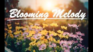 Blooming Melody - Romantic Inspiring Music [FREE DOWNLOAD]