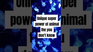 Incredible Animal Abilities #factshorts #shorts#trending