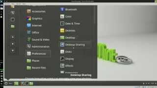 Linux Mint scaling interface and text size