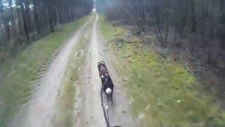 Frida & Cseni Kubik |bikejöring & headcam| 2016.03.26.