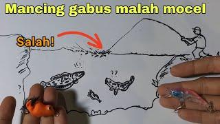 Cara mancing/casting ikan gabus biar tidak mocel.