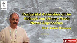 Congenital Anomalies of the Kidney and Urinary Tract Newer Approaches ~ Dr. Ashok Khurana