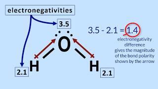 Polar Molecules Tutorial: How to determine polarity in a molecule