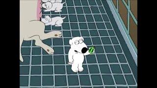 Family Guy- Brians Birth (Austin, Texas)