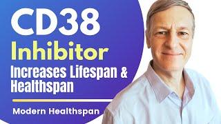 CD38 Inhibitor Increases Lifespan & Healthspan | Review By Modern Healthspan