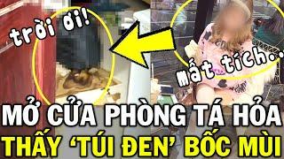 Nữ sinh viên MẤT TÍCH 3 tháng, chủ phòng LẠNH SỐNG LƯNG khi mở cửa kiểm tra | Tin Việt 2 Phút