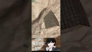 흔한 버튜버의 발버둥