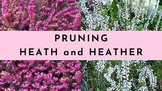 Pruning Heath and Heather