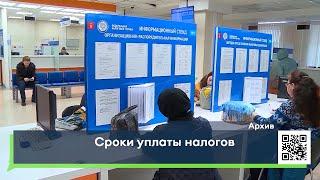 Сроки уплаты налогов в 2021 году