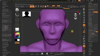 MS3D | ZBrush Course | 006| Fixing Hole in Mesh | ZRemesher Troubleshooting