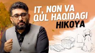 IT, NON VA QUL HAQIDAGI HIKOYA | @YOLDAGIODAM #abdukarimmirzayev