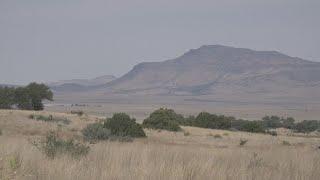 What you can expect at the Chihuahuan Desert Nature Center