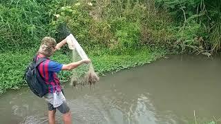 Menjala Ikan Wader Diselokan Kecil