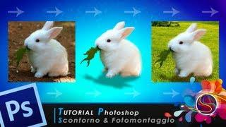 TUTORIAL PHOTOSHOP - Scontorno & Fotomontaggio