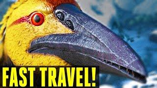 ONE WEIRD TRICK TO INSTANTLY TRAVEL AROUND THE MAP! ICHTHYORNIS -  EYNTK (Ark: Survival Evolved)