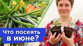 УСПЕЙТЕ ПОСЕЯТЬ В ИЮНЕ! Какие овощи дадут отличный урожай при посеве в июне, а какие лучше не сеять