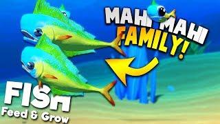 UNLOCKING NEW MAHI MAHI AND STARTING A MAHI MAHI FAMILY! | Feed And Grow Fish SURVIVAL Gameplay