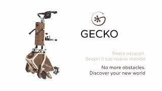 Gecko   - Basta ostacoli: scopri il tuo nuovo mondo