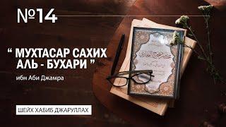 №-14 l Клевета на Аишу, да будет Аллах ею доволен l Шейх Хабиб