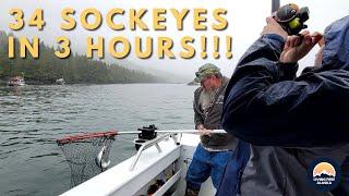 Sockeye Salmon Fishing in Alaska's Prince William Sound