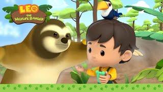 A SLOTH that can move in a FLASH?! ️ | Three-toed Sloth | Leo the Wildlife Ranger | Kids Cartoons