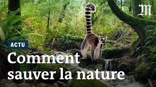 Quelles solutions reste-il pour sauver la biodiversité ?