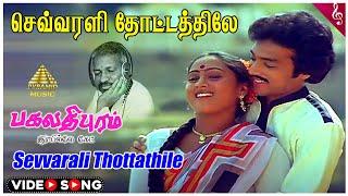Sevvarali Thottathile Video Song | Bhagavathipuram Railway Gate Movie Songs | Karthik | Rajyalakshmi