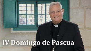  IV DOMINGO DE PASCUA - Reflexión del obispo de Cartagena
