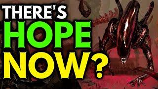 HOPE For The Xenomorph Nerfs? | Dead by Daylight