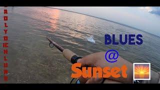 Sunset Surf fishing Bluefish action on Deadly Dick jigs (Jersey Shore)