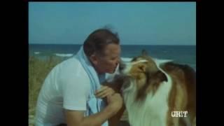 Lassie - Episode # 468 - "The Lonely One"– Season 14, Ep. 21 - 2/4/1968468