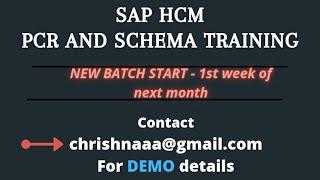 Generation of Time Quota through RPTIME00 - SAP Hr online Training on Pcr's and Schema's