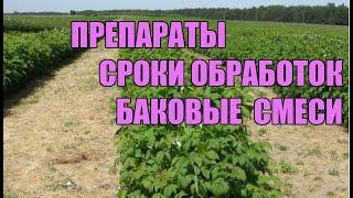 Когда и как обрабатывать ежевику и малину от болезней. Фунгициды. Часть 2