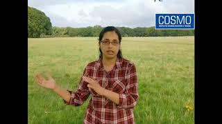 Ireland Nurse Feba’s Malayalam Review of COSMO IELTS Centre (Trivandrum, Kottayam & Kochi) Kerala