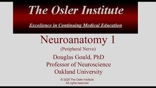 Osler Neurology Online Review 2020 Sample