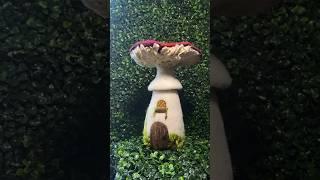 Wet and needle felting a fairy mushroom house Relaxing ASMR #asmr #needlefelting #art #craft #fiber