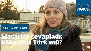 Macarlar cevapladı: Kökenleri Türk mü?