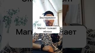 Эксперимент с яблоком и магнитом #егэ2023 #физика #эксперименты #опытыдлядетей