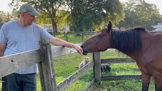 Our New Mustang's First Time Sniffing My Boyfriend's Hand