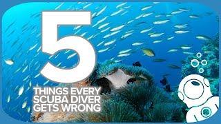 5 Things Every Scuba Diver Gets Wrong