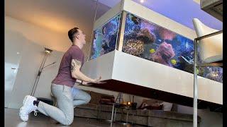 REEF TANK TOURS - Most unique private aquarium in Europe? - 2020 Update of Ralph`s reef #reeftank