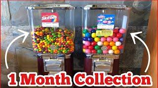 Rhino Gumball & V-Line Candy Machine Collection