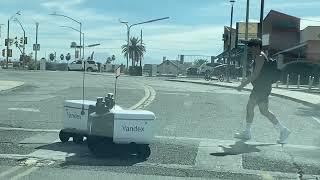 2022-01-16: Yandex food delivery robots on Univ. of Arizona campus, Tucson, AZ