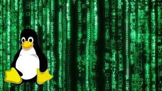 How to Get Matrix Like Effect in Your Linux Terminal | Programmer Tux